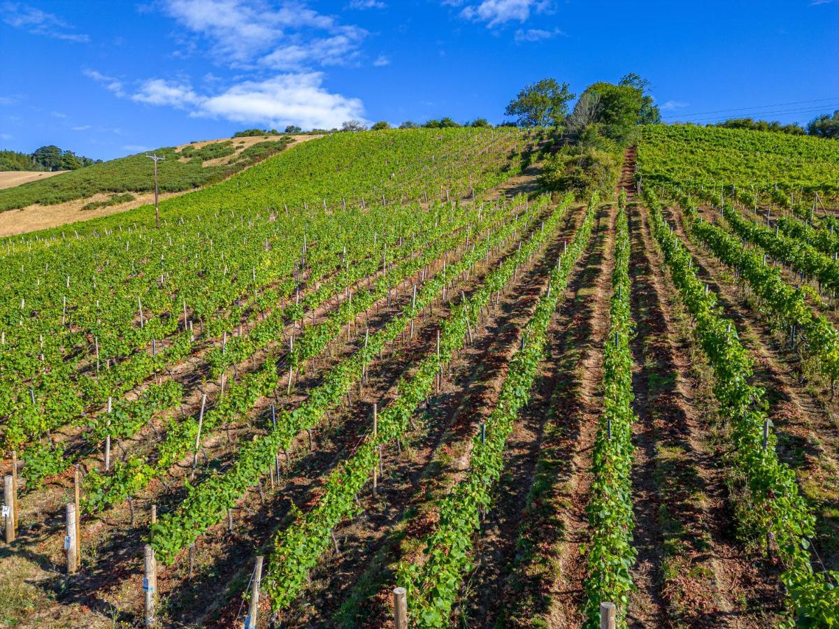 Old Walls Vineyard Bishopsteignton Exterior photo